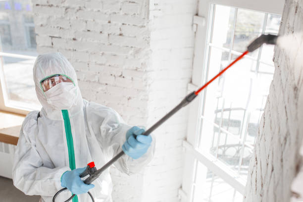Best Asbestos and Lead Testing During Mold Inspection  in Washington, WV