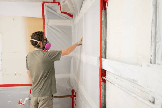 Best Emergency Mold Remediation  in Washington, WV