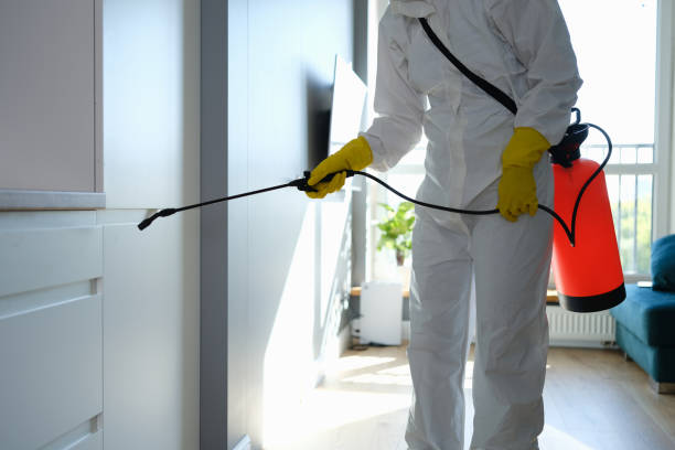 Best Asbestos and Lead Testing During Mold Inspection  in Washington, WV