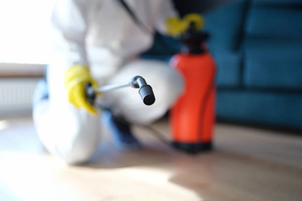 Best Mold Remediation for Rental Properties  in Washington, WV