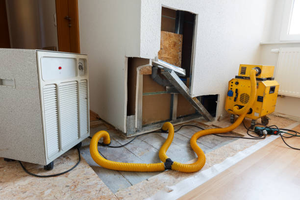Best Crawl Space Mold Remediation  in Washington, WV
