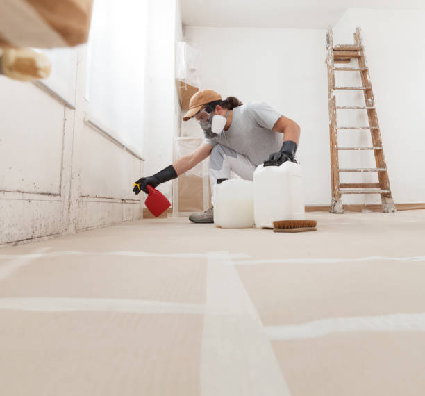 Best Basement Mold Removal  in Washington, WV