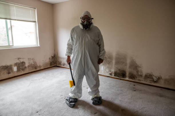 Best Air Quality Testing for Mold Spores  in Washington, WV