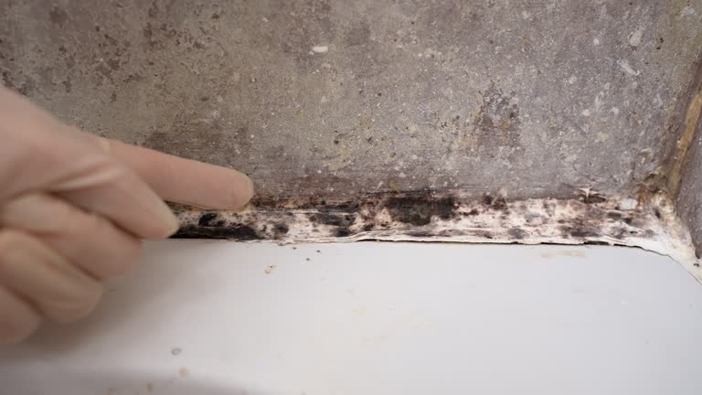 Best Indoor Air Quality Assessment  in Washington, WV