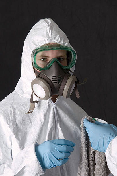 Best Emergency Mold Remediation  in Washington, WV